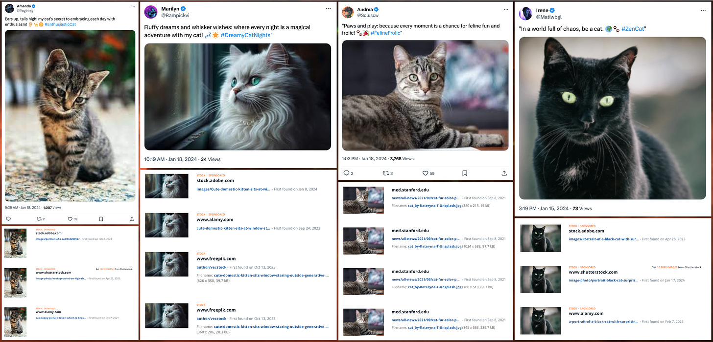 screenshots of cat photos posted by the accounts running crypto spam ads, and reverse image searches showing the cat photos are plagiarized