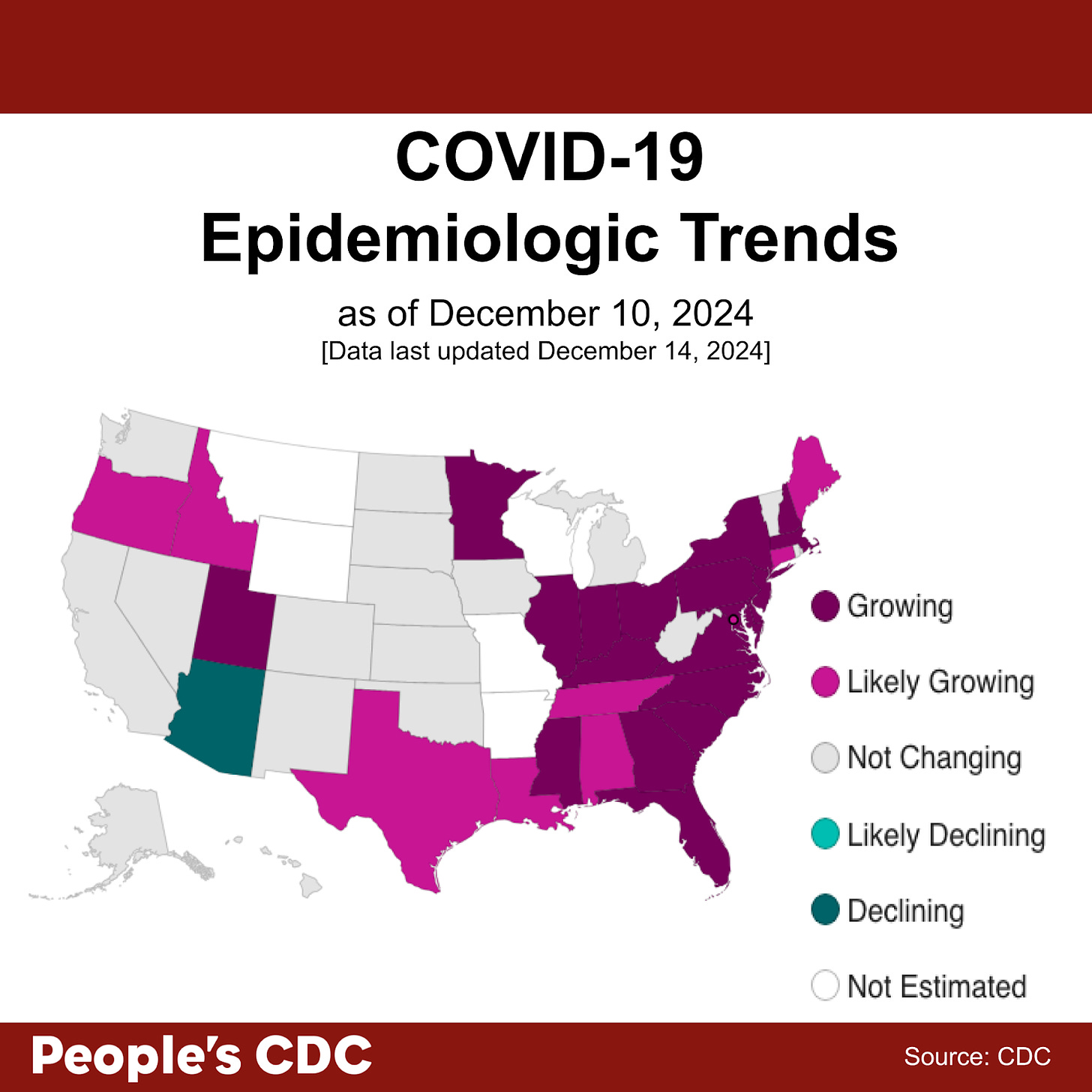 A map of the United States color-coded in shades of purple, teal, and gray displaying the CDC COVID Model: Current Epidemic Growth Status based on emergency department visits as of December 10, 2024, where purple tones indicate growing or likely growing, teal tones indicate declining or likely declining, and gray indicates “Stable or Uncertain.” States without predictions are represented in white. Text above the map reads “CDC Predicts transmission is ‘Growing’ or ‘Likely Growing’ in 28 states.” One state is dark teal and __ have “Declining” or “Likely Declining” status. Three states are light purple and have “Likely Growing” Status. All other states and territories are either “Stable or Uncertain” or did not receive estimates. Text at the bottom reads “People’s CDC. Source: CDC.”