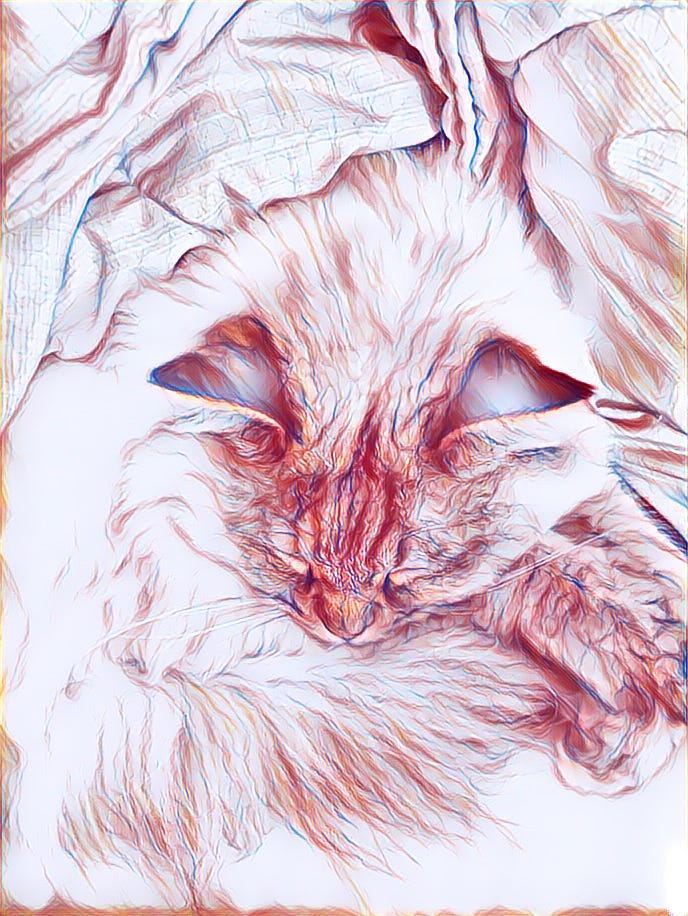 graphic sketchy image of a sleeping cat