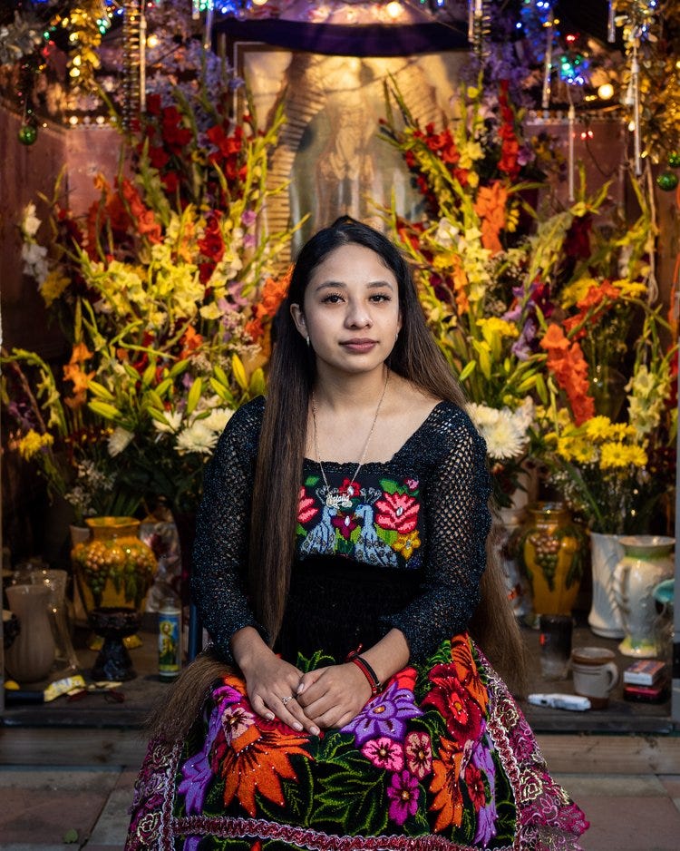 Portrait of a Neighborhood: Pedregal – GringoPotpourri