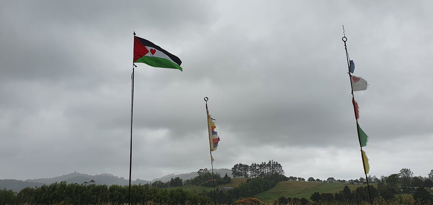 My Palestinian flag, hand sewn and flying on my welded flagpole in the top paddock. Since Dec 25th 2023. 