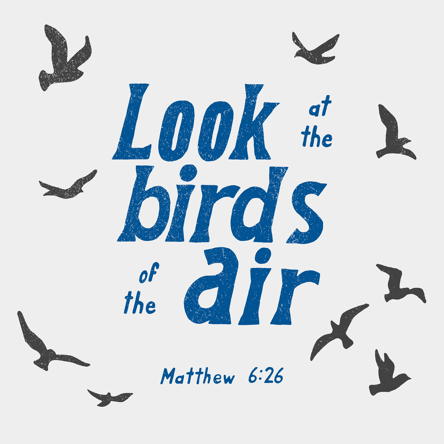 Black birds fly around blue text reading "Look at the birds of the air - Matthew 6:26"