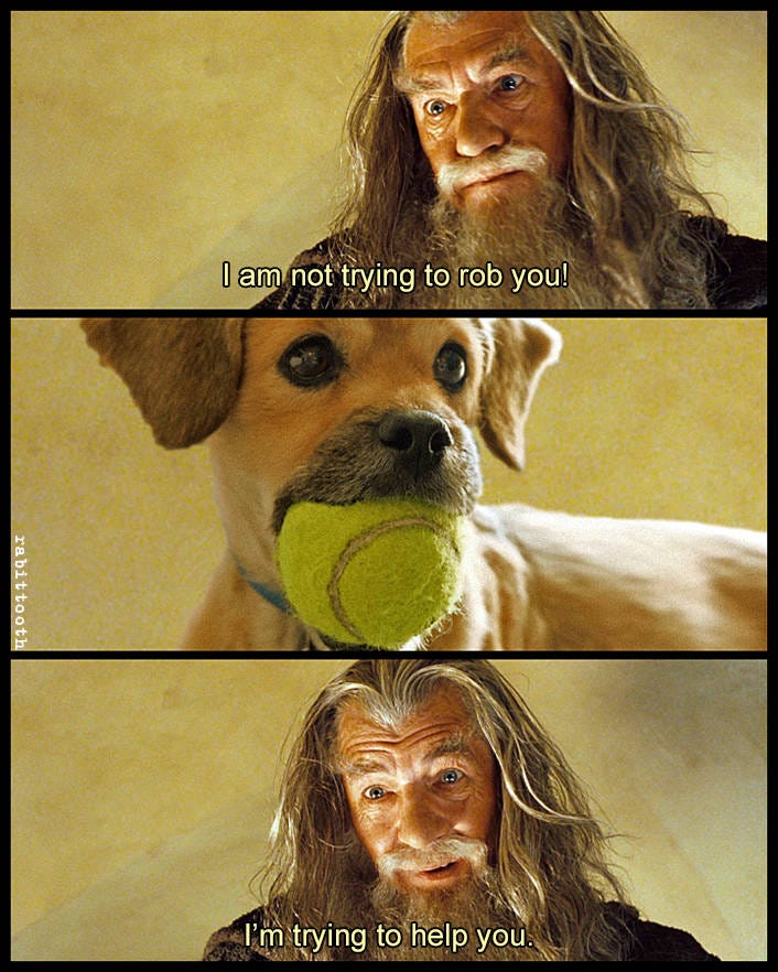 3-panel meme format. Panel 1: Gandalf says “I am not trying to rob you!”. Panel 2: A cute puppy holding a tennis ball in its mouth. Panel 3: Gandalf says “I am trying to help you.”