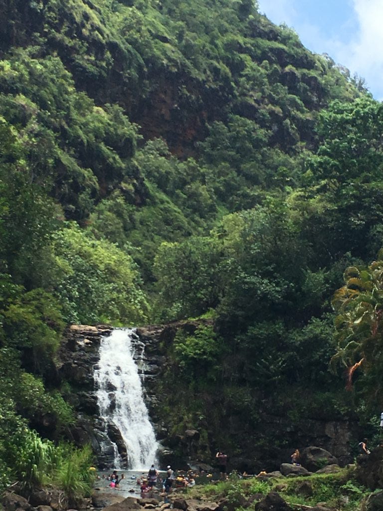 Hawaii Rainforest Hike