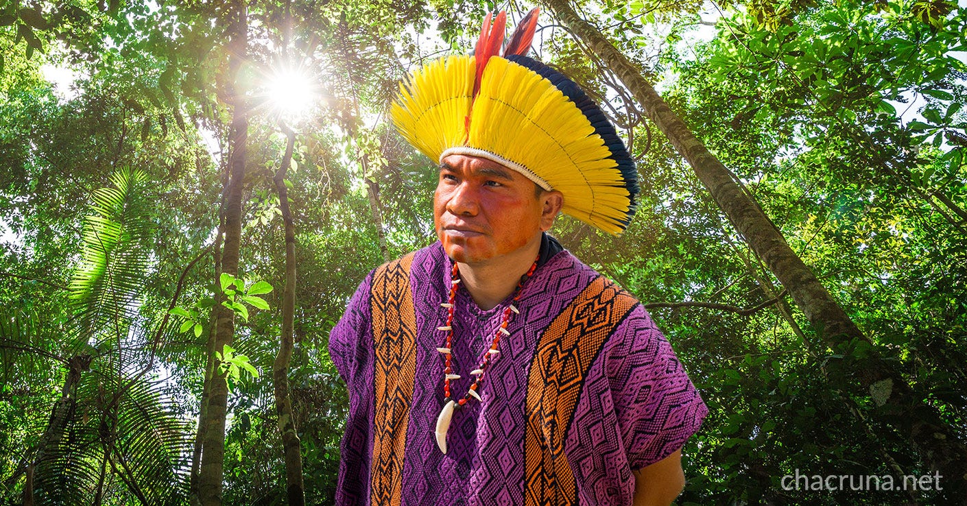 ayahuasca shaman