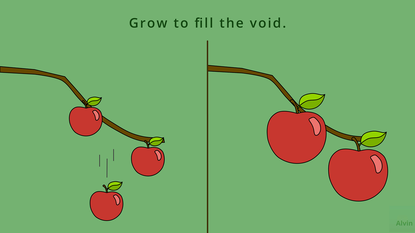 On the left are three small apples growing on a tree branch, but the middle apple falls from it leaving a gap between the remaining two apples. On the right are the two remaining apples grown bigger, taking up the space left by the missing apple. Grow to fill the void.