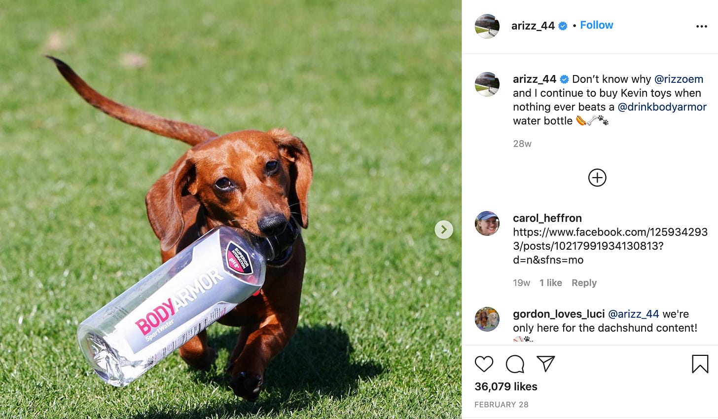 Cubs' Anthony Rizzo throws his dog, Kevin, a birthday party ...