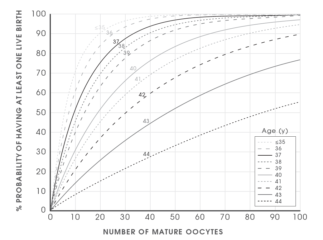 Image may contain Chart and Plot