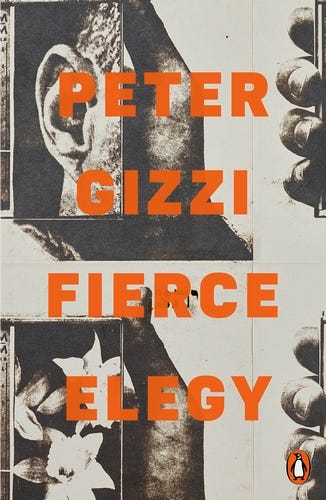 Peter Gizzi, Fierce Elegy cover