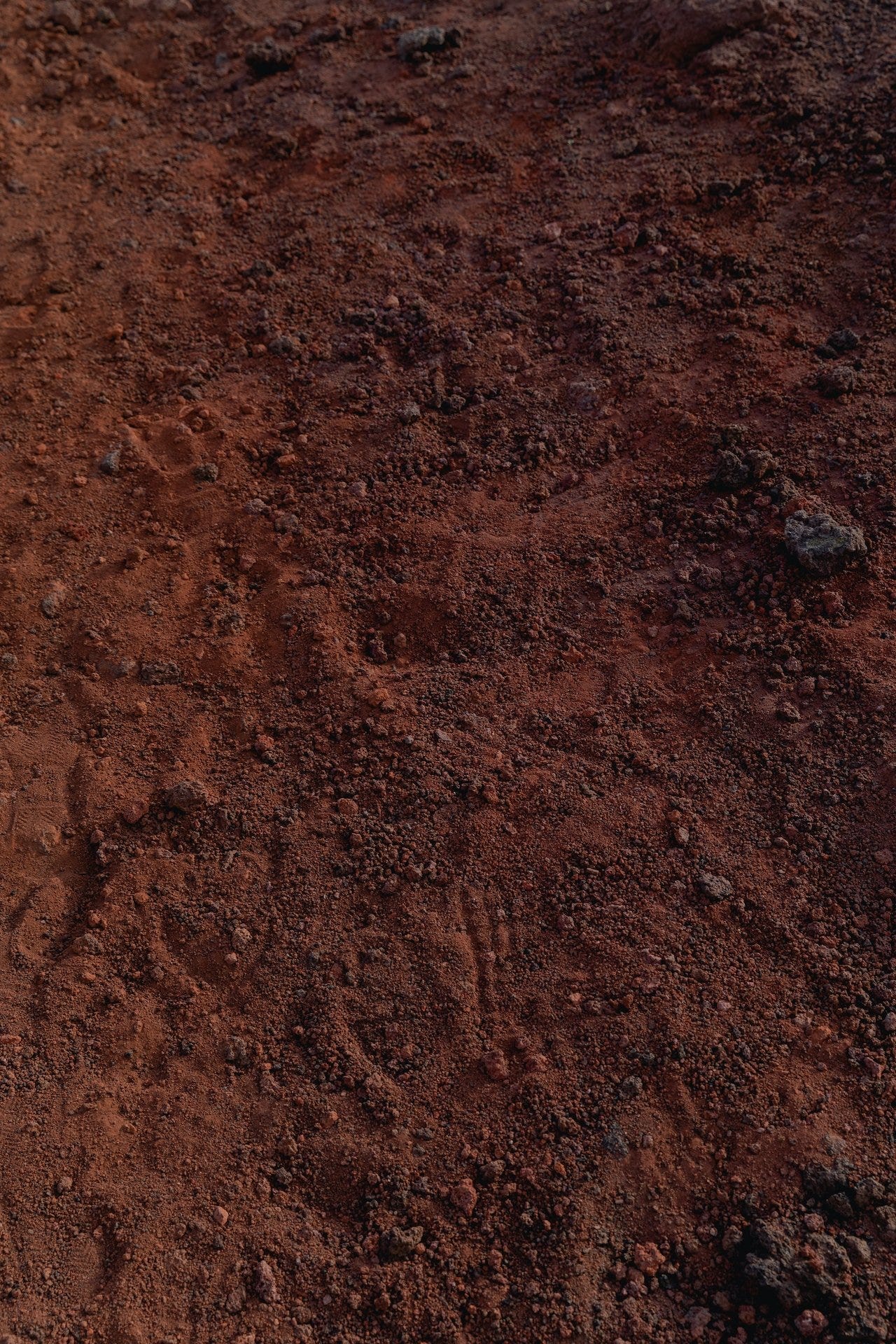 An ombre of reddish-brown, rocky soil shows signs of digging.