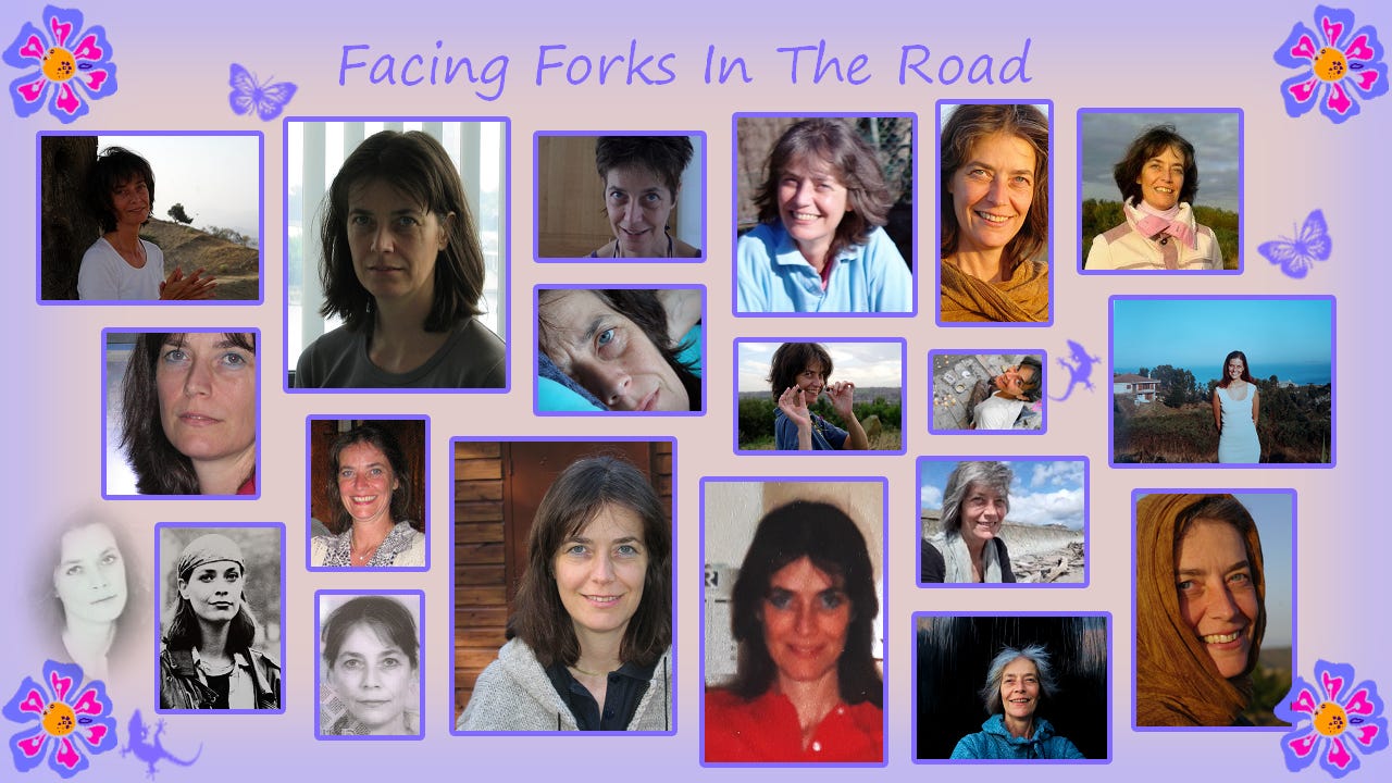 Okeko Photo Collage “Facing Forks in the Road”©