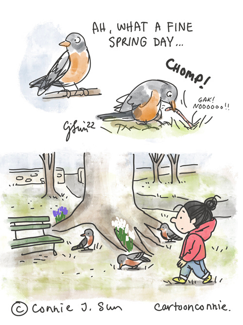 A Fine Spring Day Borderless 3-panel comic illustration of a fine spring day. Panel 1, a cheerful-looking red-breasted robin perches on a low branch. Text reads, "Ah, what a fine spring day!" Panel 2 cuts to the robin, on the ground, extracting a fat worm from the grass. Text reads, "CHOMP!" In smaller text, the worm goes "gak! noooooo!!" Panel 3 pans out and is a full-color illustration of a girl with a bun, enjoying the spring day, placidly observing the first burst of life and flowers in Central Park after winter. Several robins are foraging on the ground. Autobio comic strip by Connie Sun, cartoonconnie, 2022.