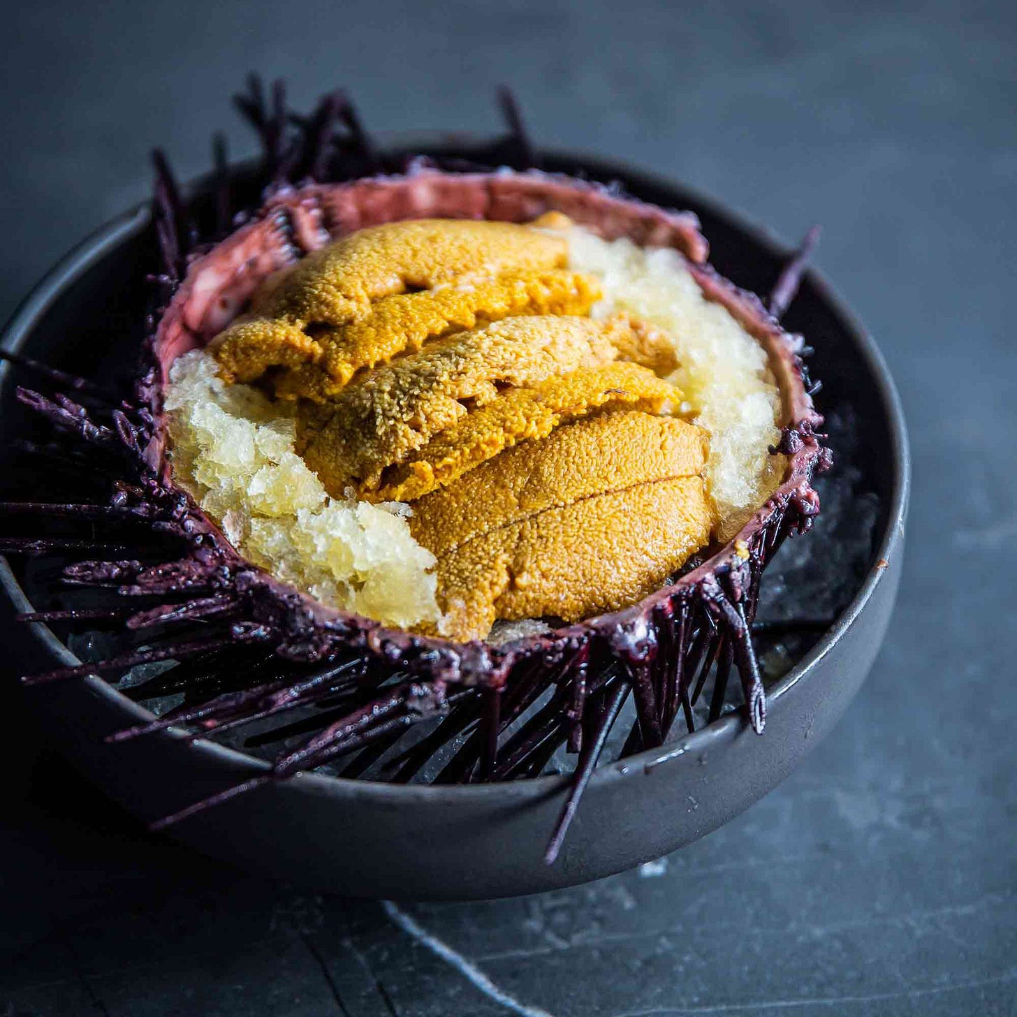 Raw Sea Urchin with Citrus Granita – Sea Urchin Harvest