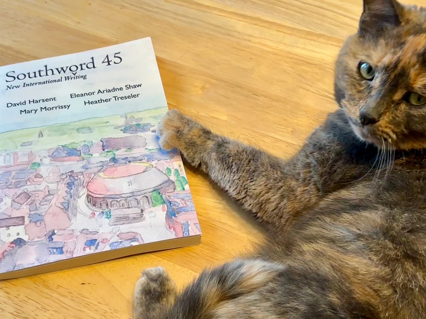 Left: The pastel cover of Southword 45. Right: A dilute tortoiseshell cat lounging beside the magazine, gripping it with one paw, and looking over her shoulder at the camera as if to say, “This copy is mine. Get your own.”