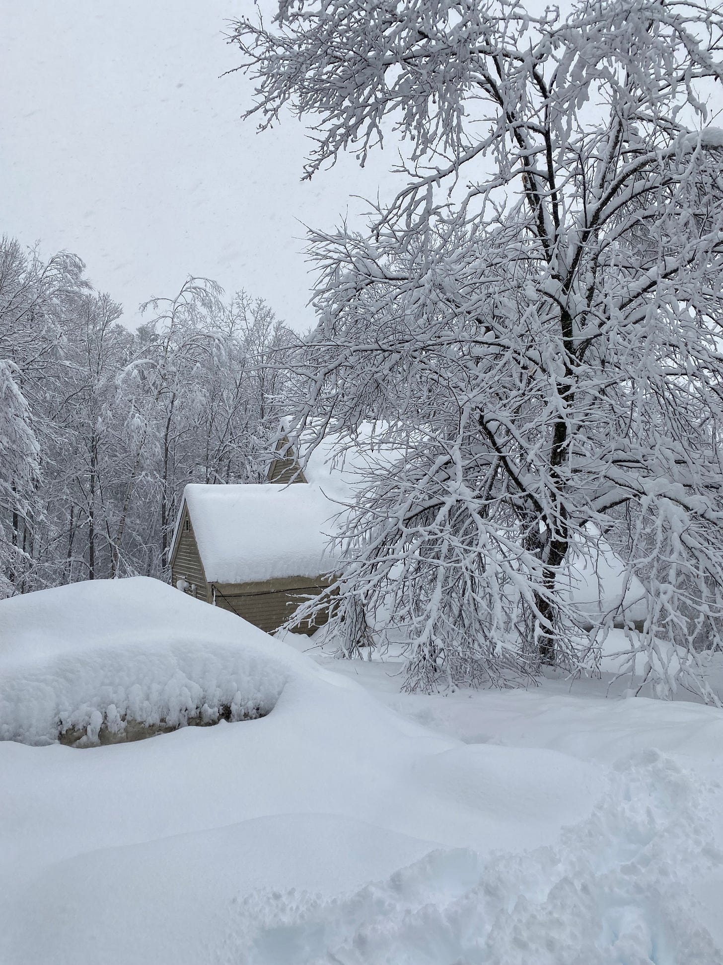 View of my house, car and driveway covered in several feet of snow, and surrounded by snow-covered trees.