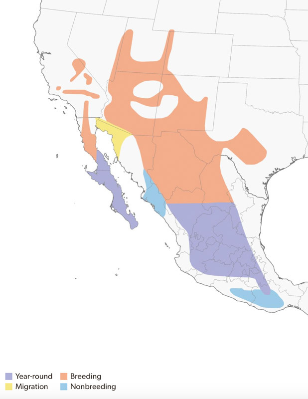 20240705-maps.jpg