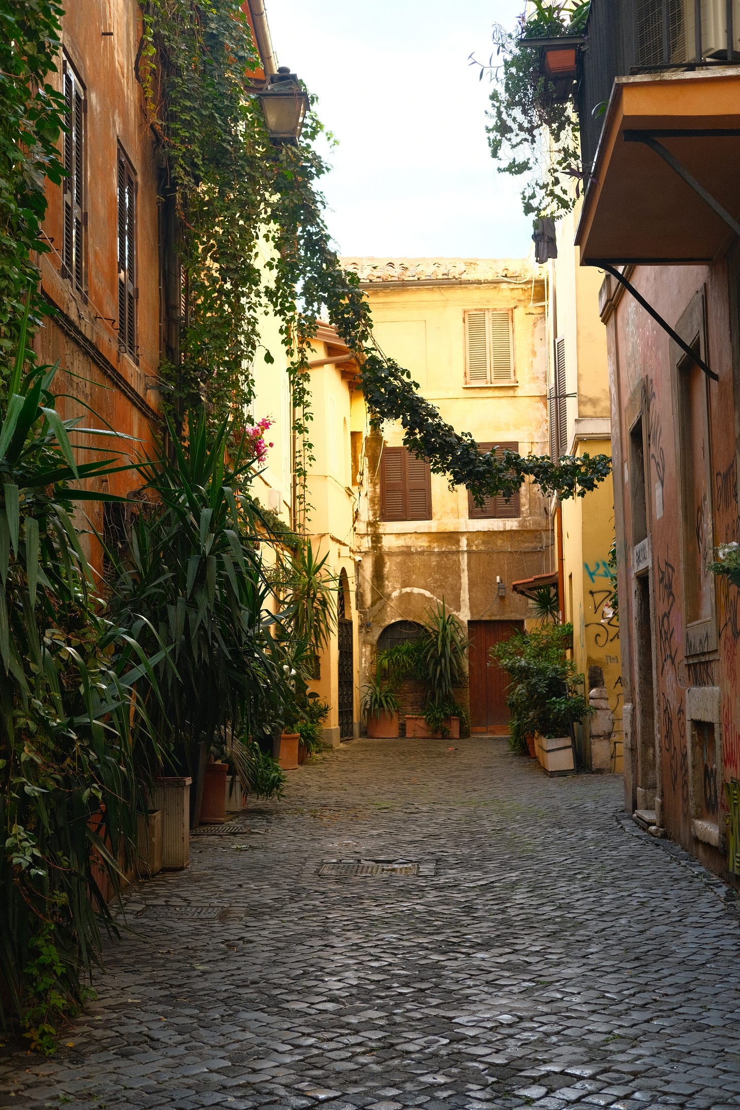 Where to eat and drink natural wine in Trastevere Rome by food and travel writer Courtney Jill Bishop.