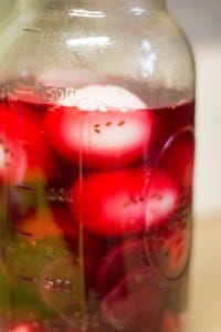 pickling eggs