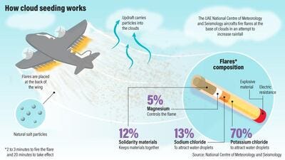 This graphic shows the release of salt particles into a cloud and the flare devices used to release them. Ramon Penas / The National