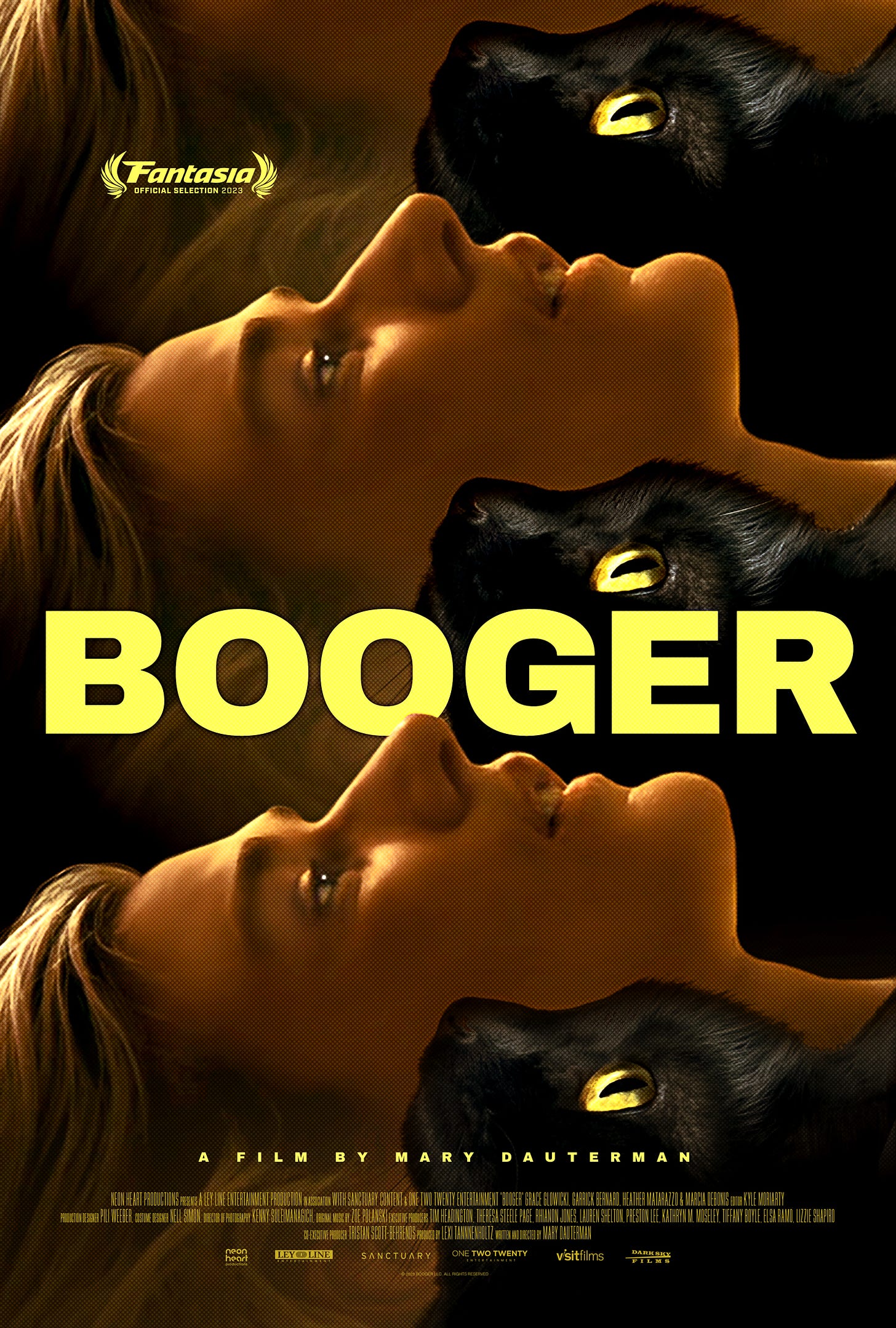 Booger movie poster