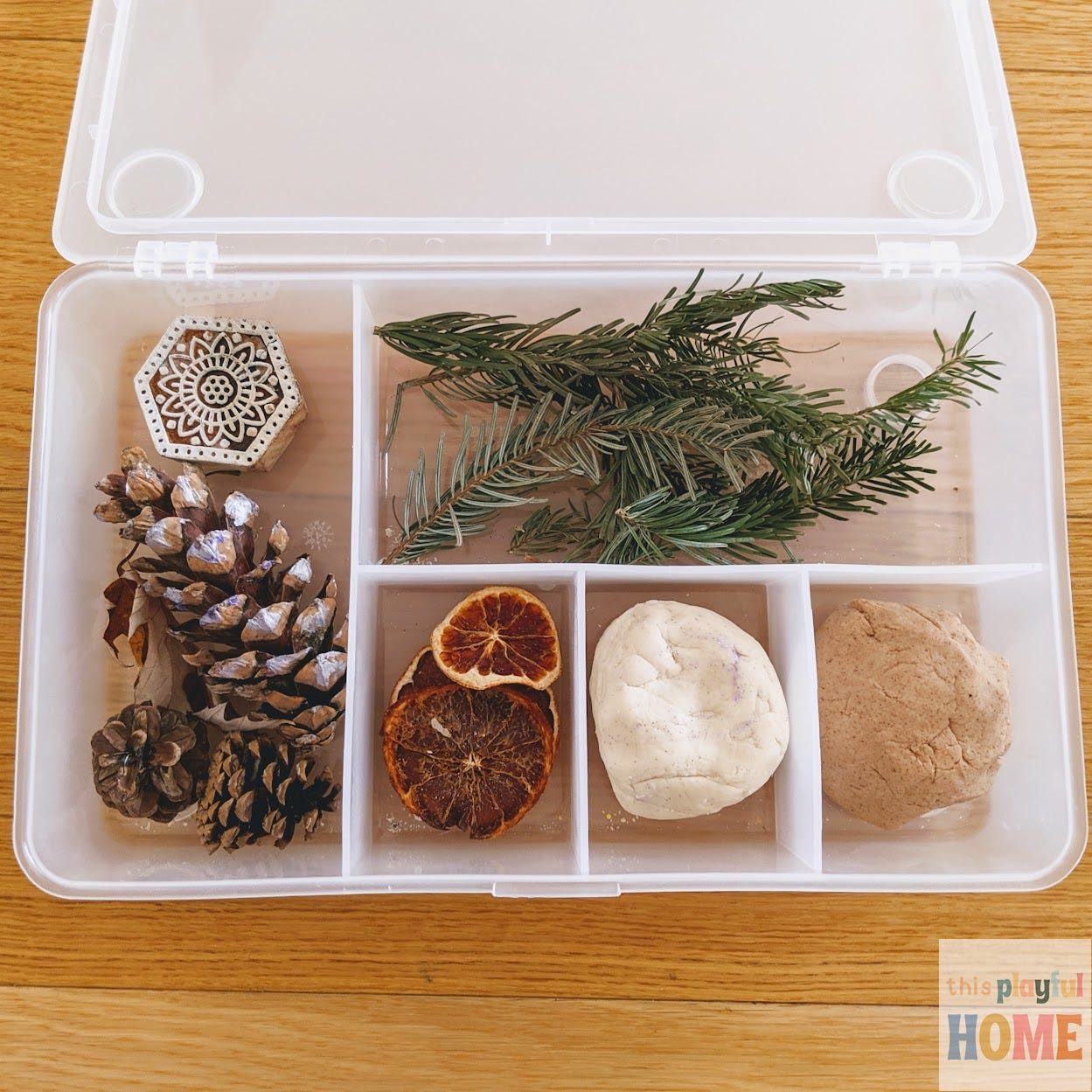 an overhead image of a plastic box filled with play dough, dried orange, pinecones and stamps