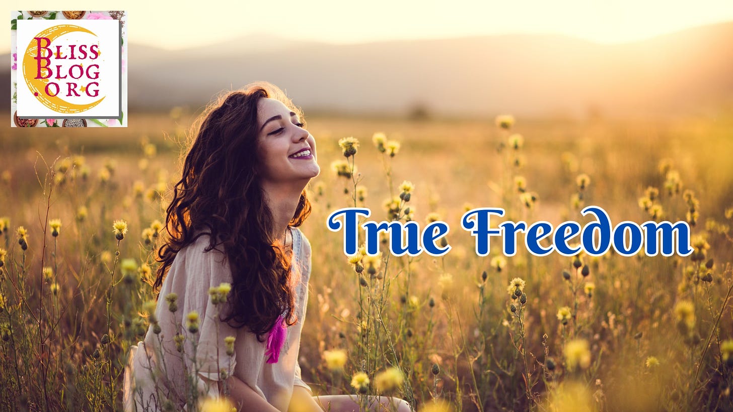 A woman with long curly auburn hair sits in a field of yellow flowers. She's wearing a pink dress, and smiling. The Bliss Blog Logos is in the uppler left, and the words TRUE FREEDOM are in blue