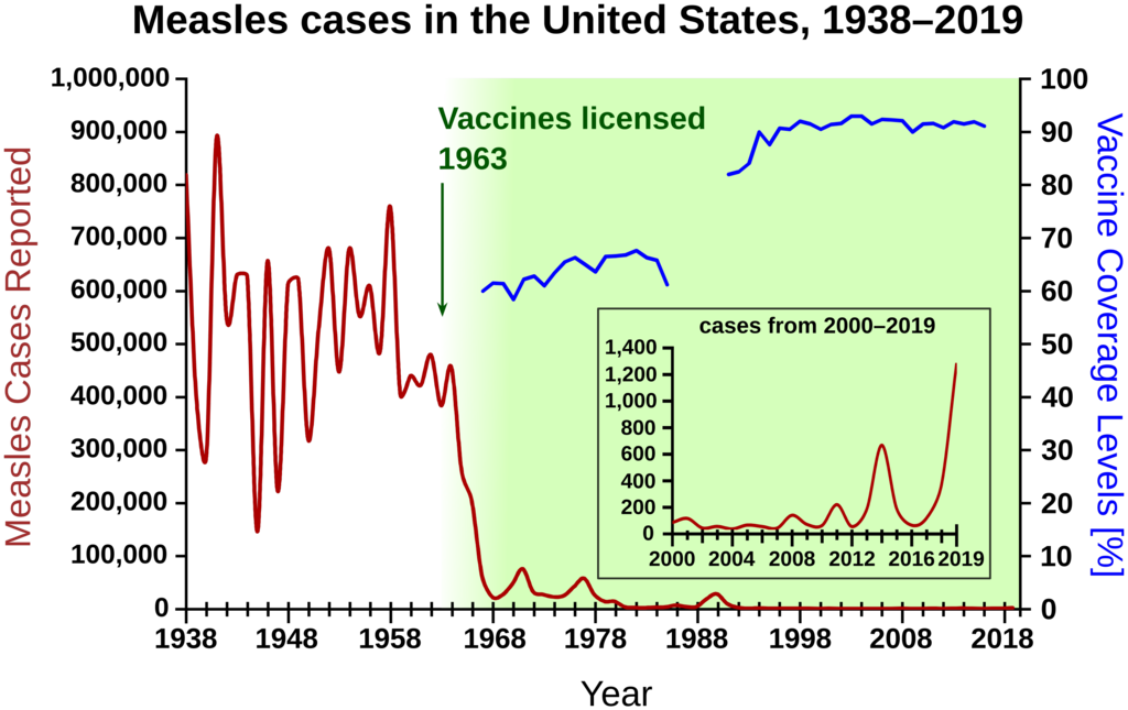 Measles cases 1938-1964 follow a highly variable epidemic pattern, with 150,000-850,000 cases per year. A sharp decline followed introduction of the vaccine in 1963, with fewer than 25,000 cases reported in 1968. Outbreaks around 1971 and 1977 gave 75,000 and 57,000 cases, respectively. Cases were stable at a few thousand per year until an outbreak of 28,000 in 1990. Cases declined from a few hundred per year in the early 1990s to a few dozen in the 2000s.
