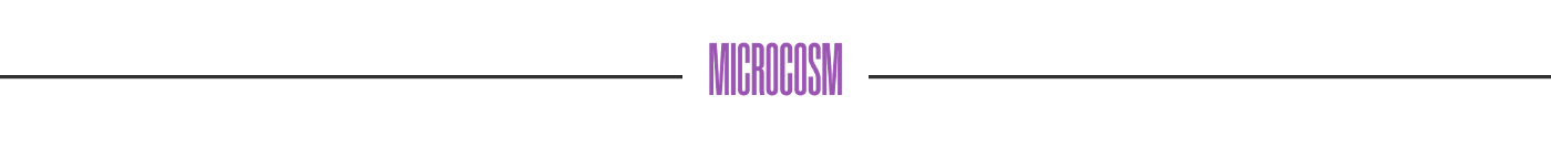 Microcosm divider