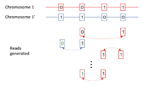 Haplotype Phasing - Community Recovery Haplotype Phasing - Community Recovery