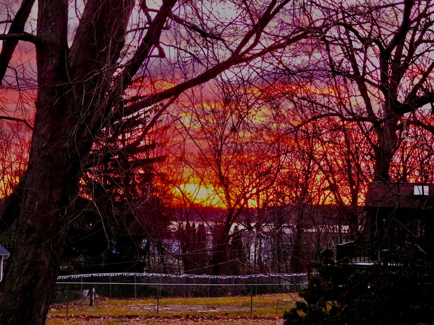May be an image of twilight, horizon and tree