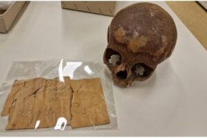 Fig. 1: The cranium from the Ephesos Octagon in the Collection of the Department of Evolutionary Anthropology, University of Vienna. The yellowed note coming with it says: “Skull from Ephesus”.