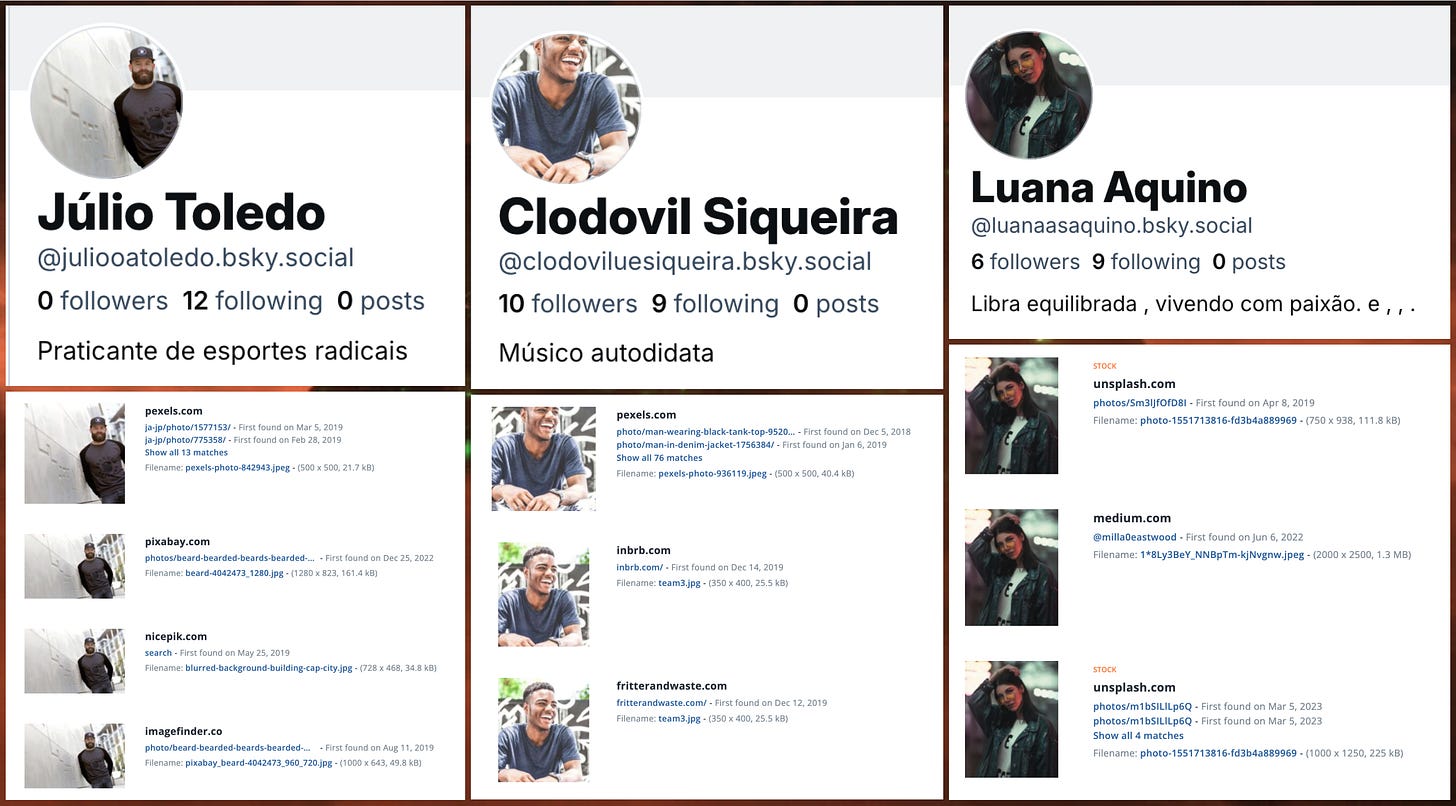screenshots of three of the spam accounts' profiles, and TinEye reverse image searches showing that the images are plagiarized