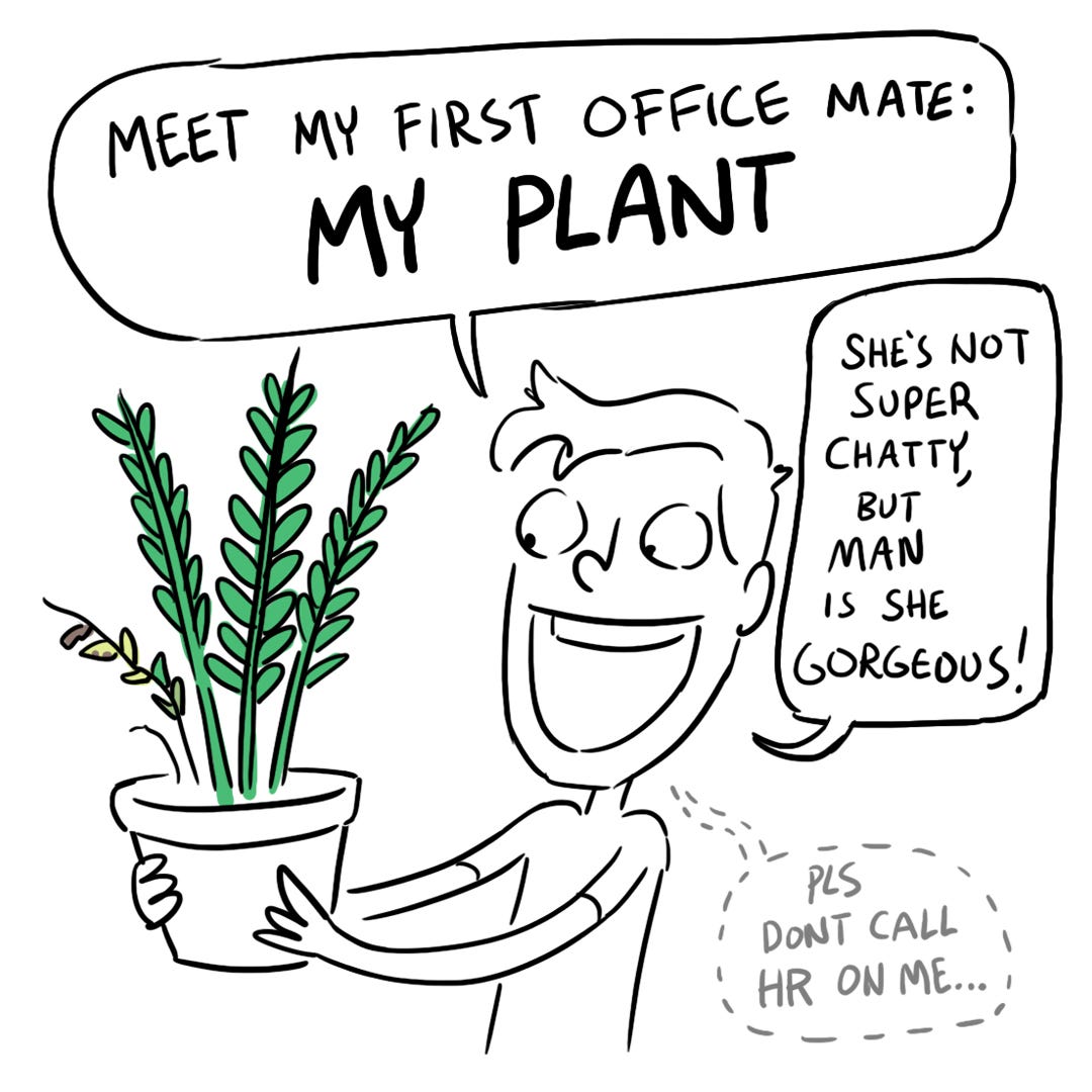 Dodge introduces us to a houseplant. He calls her gorgeous, then asks that she doesn't report that to HR.