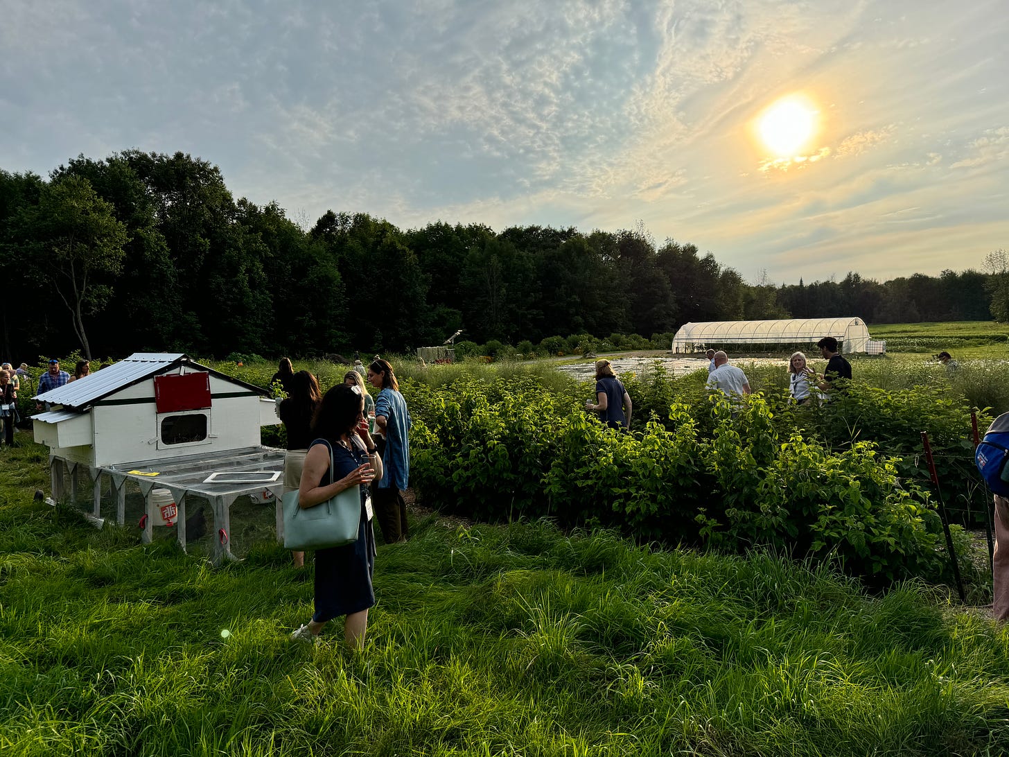 A group of people is gathered in a lush, green field during sunset. Some are standing near a small white structure with a red door and wire cages, possibly a chicken coop. Others are scattered throughout the field, examining plants or talking. In the background, a long white greenhouse is visible, and dense trees frame the scene. The sky is partly cloudy with the sun low on the horizon.