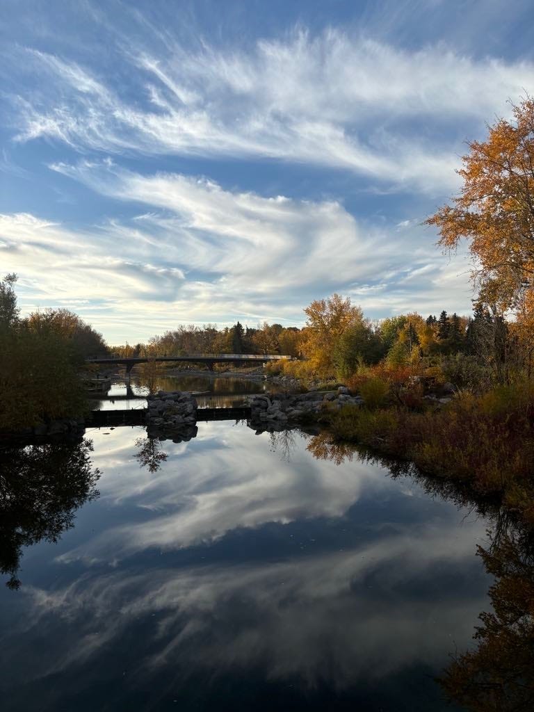 Photo of a fall scene of the Jaipur pedestrian bridge by Prince's Island Park. The blue sky is streaked with white clouds and the leaves are orange, brown and olive green.