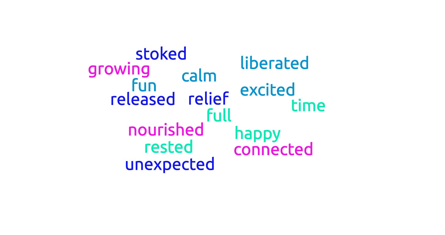 word cloud with words like stoked, growing, fun, unexpected, rested, connected, released, and nourished.
