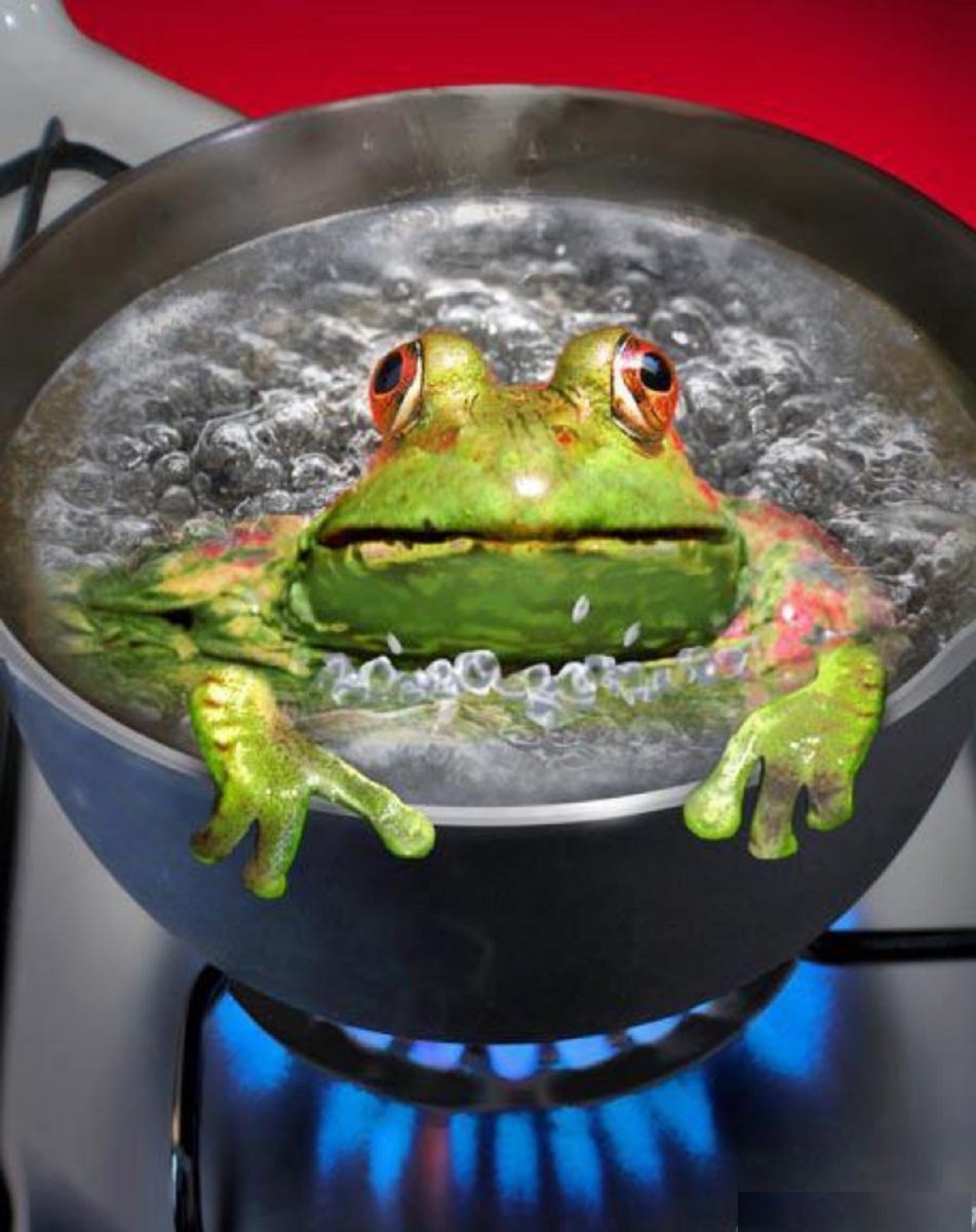 Boiled Frogs and Insidious Cooks; CBDC's Warming of the Water | The Spirit's Call