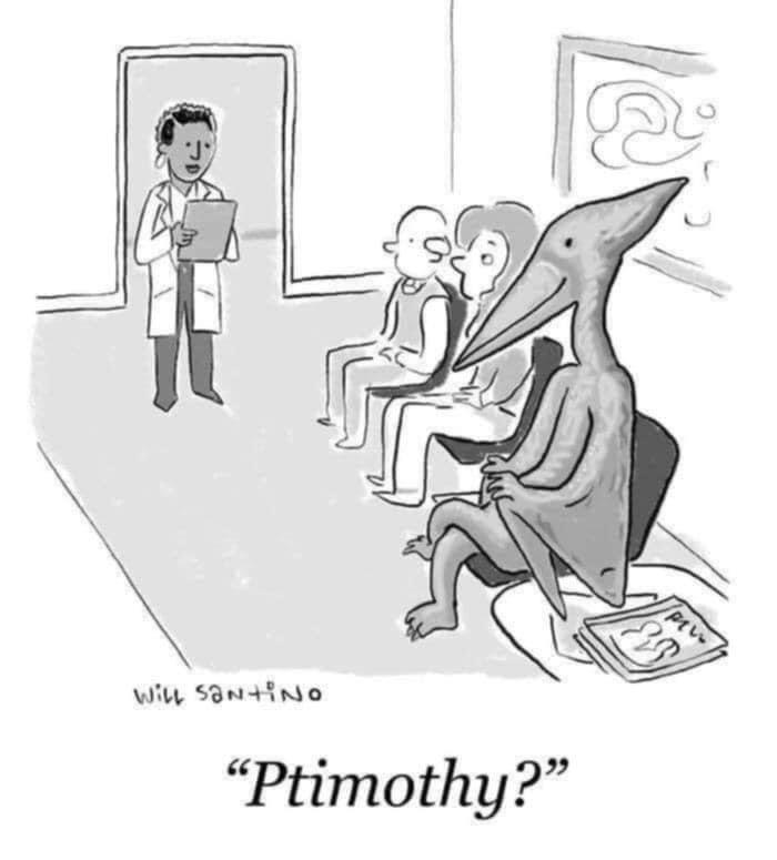 Ptimothy : r/Tim