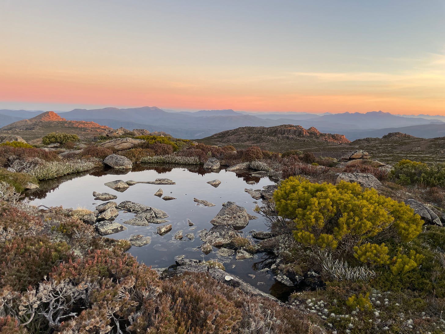 sunrise on Floretine Plateau Mount Field National Park. Peach horizon, blue clear sky, blue mountains in the distance, alpine planst and a tarn