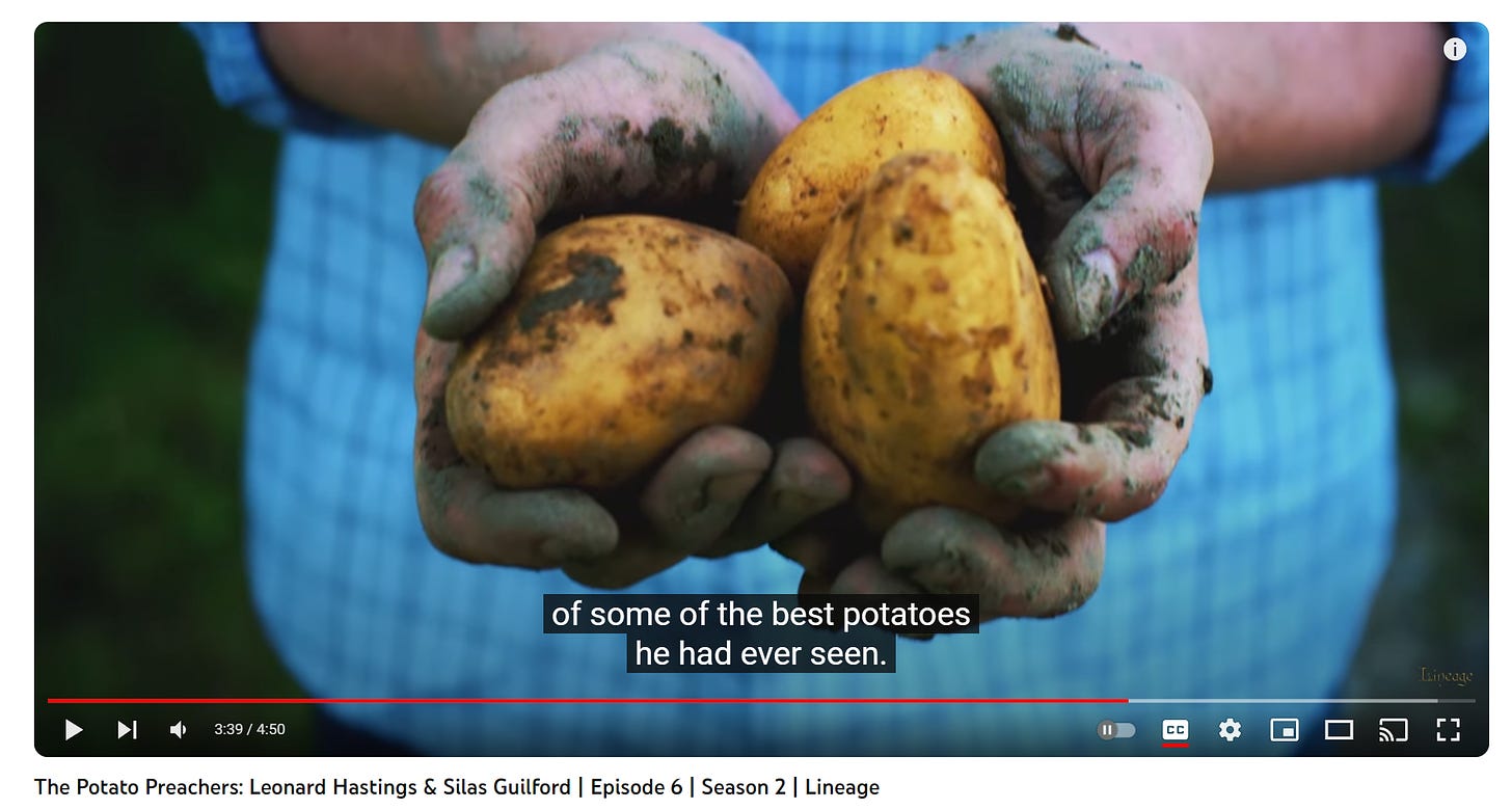 Handful of potatoes