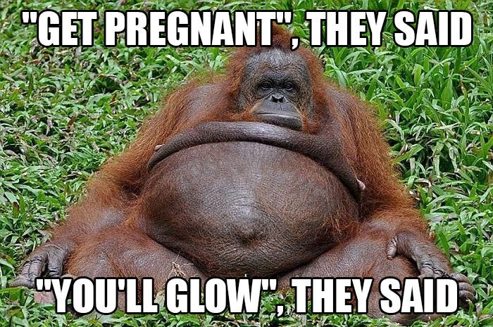 50 Of The Funniest Pregnancy Memes Ever