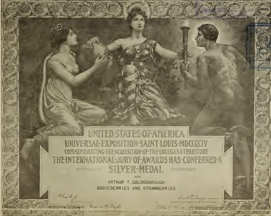 Silver medal certificate from the 1904 St. Louis Exhibition