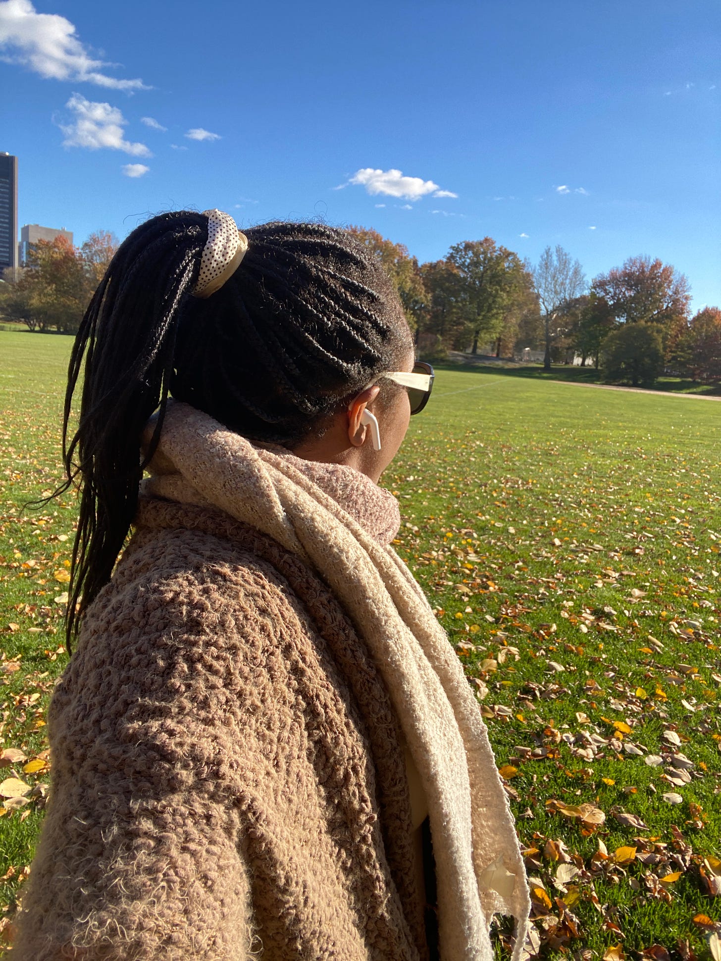  Alexa is in a field in Central Park, with dead leaves strewn across the grass. The sky is clear blue with a few clouds, and there are some trees with leaves on them in the distance. Alexa’s back is to the camera, and you can only see her from the waist or so up. You can see a tiny slice of her face - enough to see her ear with an apple AirPods in it, and her black sunglasses with white temples. Her braids are up in a ponytail, held by a white satin scrungee with polka dots. She is wearing a camel tan, soft teddy bear like sweater with long sleeves, and a thick pink and tan ombre scarf, wrapped around her neck. 