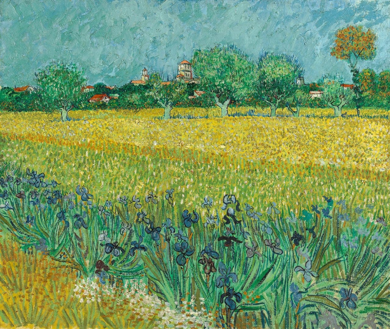 Vincent van Gogh - Field with Irises near Arles - Van Gogh Museum