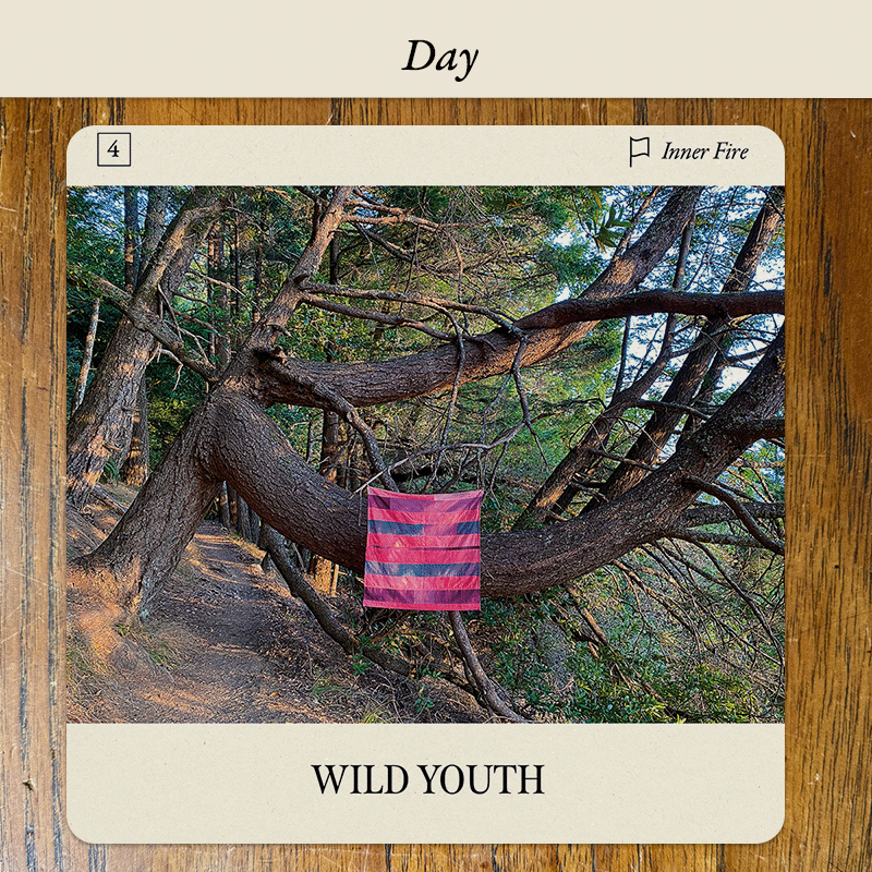 Flag Oracle card Wild Youth