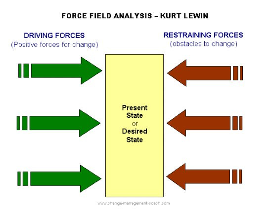 How to use Force Field Analysis