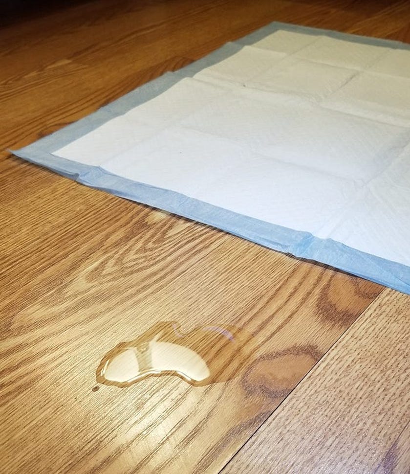 Pee pad with puddle next to it