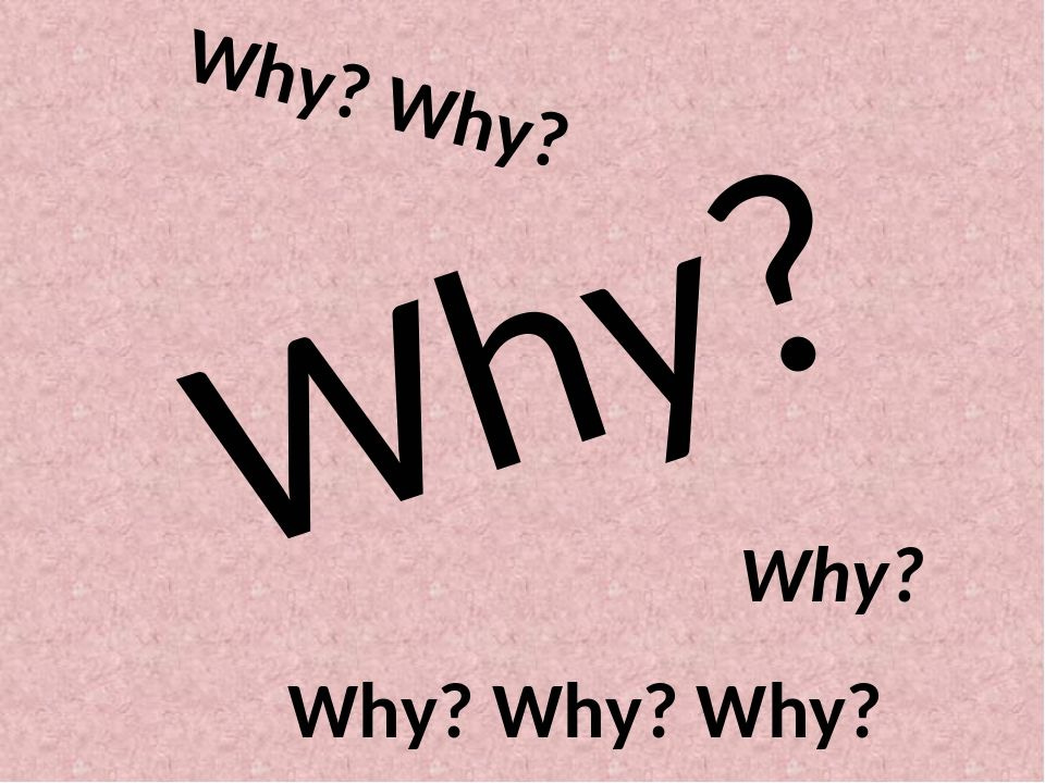 Слово посему. Why. Why why why. Why картинка. Надпись why.
