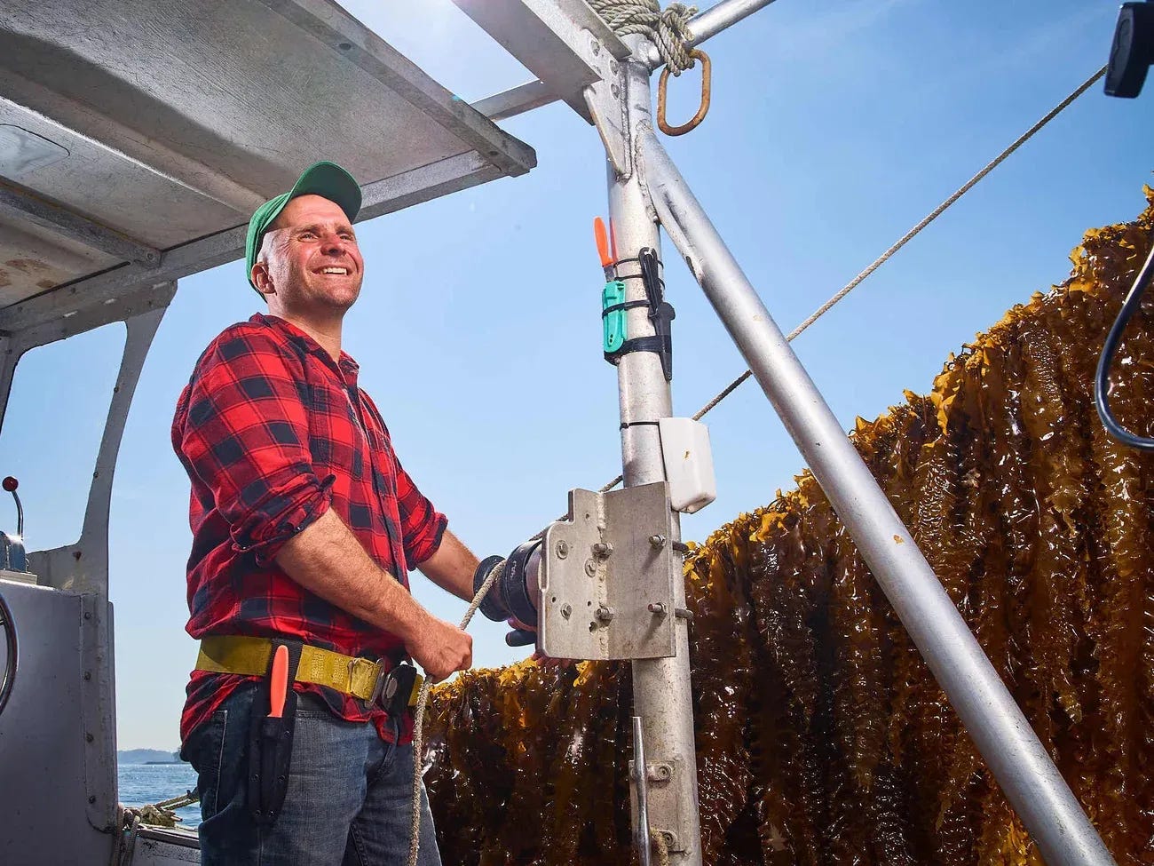 Sowing the Seas: Ocean Farming Will Grow the Crops of the Future