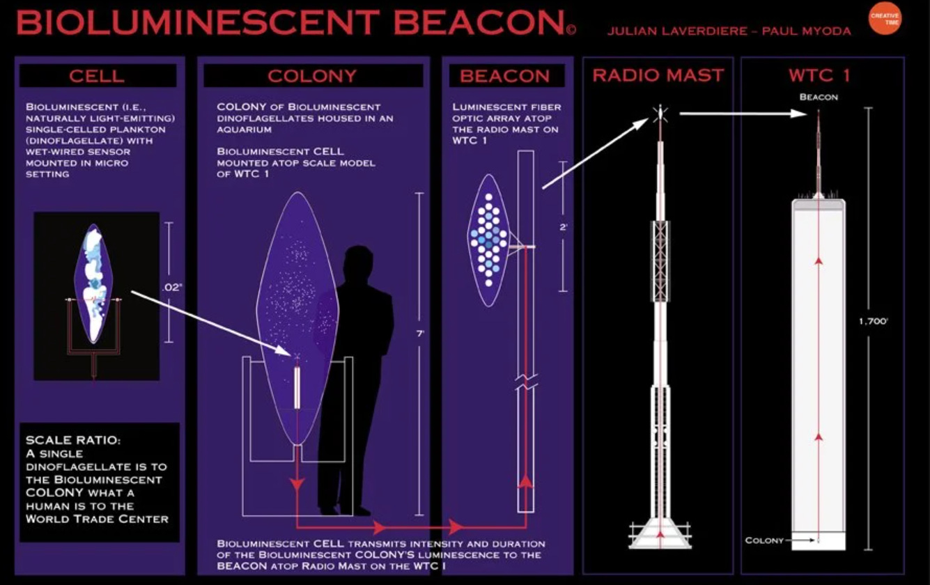 A schematic-like drawing depicting how Laverdiere and Myoda would create the Bioluminescent beacon and attach it to the WTC antenna